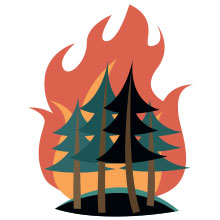 wildfire graphic